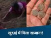MP के इस गांव में मिला खजाना! चमकते सिक्के देख हर कोई दंग, खोजने दौड़ा पूरा गांव