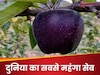 UPSC Interview Question: दुनिया का सबसे महंगा सेब कौन सा है?