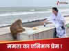 ये क्या! जगन्नाथ रथयात्रा से पहले मंदिर पहुंचीं CM ममता, अचानक सामने आ गया बंदर; फिर क्या हुआ?