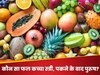 GK Quiz: वह कौन सा फल है, जो कच्चा होने पर स्त्री और पकने के बाद पुरुष हो जाता है?  
