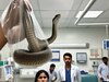 सांकेतिक तस्‍वीर