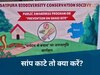 MP News: सांप काटे तो झाड़-फूंक नहीं, तुरंत करें ये उपाय; जानिए वैज्ञानिक उपचार