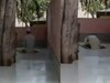Badaun Muslim Old Man Read Namaz