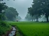 मेटा एआई