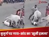 Viral Video: बीच सड़क पर गाय और सांड ने बुजुर्ग पर किया हमला, कैमरे में कैद हुआ दिल दहलाने वाला नजारा!