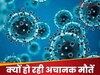 Covid Vaccine और हार्ट अटैक के बीच नहीं संबंध तो अचानक मौतों का क्‍या कारण?