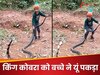 King Cobra: 6 साल के छोटे बच्चे ने खिलौने की तरह पकड़ लिया किंग कोबरा, Video में देखें फिर क्या हुआ