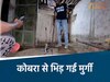 छत्तीसगढ़ की खबरें 