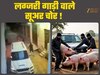 Auraiya News: 20 लाख की स्कॉर्पियो में सूअर डालकर भागे, चोरी का CCTV वीडियो देख पुलिस भी हैरान