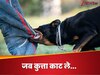 कुत्ते काटने पर रेबीज को शरीर में फैलने से कैसे रोकें? जान बचानी हैं तो अपनाने हों ये तरीके