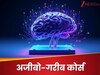 Weird Course: ये हैं दुनिया के अजीबो-गरीब कोर्स, 90% लोगों को नहीं होगी जानकारी 