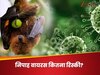 कितना खतरनाक होता है निपाह वायरस? चमगादड़ से है इसका गहरा रिश्ता