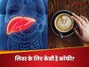 कॉफी आपके लिवर के लिए अच्छी है या नहीं? एक भी घूंट लेने से पहलें जानें ये सच