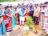 ୭୬ତମ ବନ ମହୋତ୍ସବ, ବନ ଓ ପ୍ରାଣୀ ସମ୍ପଦର ସୁରକ୍ଷା ପାଇଁ ମୁଖ୍ୟମନ୍ତ୍ରୀଙ୍କ ବଡ଼ ଘୋଷଣା
