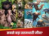 GK Quiz: दुनिया का सबसे बड़ा स्तनधारी जीव कौन सा है?