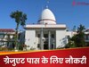 ग्रेजुएट पास युवाओं के लिए हाईकोर्ट में निकली वैकेंसी! जानें कैसे और कब से कर सकते हैं आवेदन 