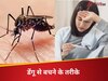 बारिश में नहीं होगा डेंगू का खतरा, प्लेटलेट्स बढ़ाने के लिए इन 4 चीजों को तुरंत करें डाइट में शामिल
