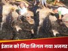 WATCH: जिंदा इंसान को निगल गया अजगर, पेट फाड़कर निकाली गई लाश, पिता की चीखें सुनकर भावुक हो गए लोग 