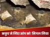 कछुए का 'रौद्र' रूप, जिंदा सांप पर बिजली की रफ्तार से किया हमला; सोशल मीडिया पर Viral हुआ खौफनाक वीडियो