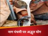 Nag Panchami 2025