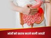 आपकी आंतों को धीरे-धीरे खराब कर रही हैं 5 आदतें, ये साइलेंट किलर से कम नहीं