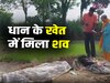 Haryana News: रोहतक के सांपला में धान के खेत में मिला शख्स का शव, इलाके में मचा हड़कंप