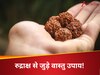 Vastu Tips For wearing Rudraksham