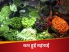  सरकारी आंकड़ों में घटती महंगाई आप तक नहीं पहुंच रही ? 11 सालों में 3% तक कम हुआ इन्फ्लेशन