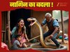 क्या नाग की हत्या का नागिन लेती है बदला! मथुरा का परिवार जागकर रातें बिताने को मजबूर