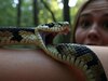  World Snake Day: ये 15 फैक्ट्स आपको बना देगा साँपों का एक्सपर्ट, बचा सकते हैं हज़ारों लोगों की जान 