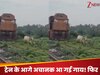 तेज रफ्तार ट्रेन के आगे अचानक आ गई गाय! फिर ड्राइवर ने जो किया, देख लोग बोले- इंसानियत अभी जिंदा है!
