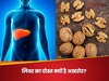 लिवर की बीमारी से बचाने में कैसे मददगार है अखरोट? जानिए रोज कितना खा सकते हैं आप