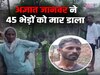 Haryana News: अंबाला में जंगली जानवर ने 45 भेड़ों को मार डाला, गांव में दहशत का माहौल