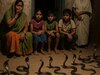 सांकेतिक तस्‍वीर