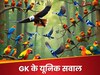 GK Quiz: एक पेड़ पर 10 पक्षी हैं और शिकारी ने एक को मार दिया, अब पेड़ पर कितने पक्षी बचे रहेंगे?