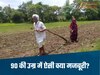 Sehore News-90 साल का ससुर बना बैल, 60 साल की बहू जोत रही खेत, जानिए 'मदर इंडिया' की असली कहानी