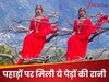 पेड़ों की रानी बनकर पेड़ पर चढ़ी लड़की ने मचाया इंटरनेट पर बवाल, डायलॉग सुन हिल जाएगा सिर