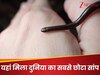 दुनिया का सबसे छोटा सांप जो गायब समझा जा रहा था, आखिरकार फिर मिला! जानिए कैसे वैज्ञानिकों ने खोज निकाला