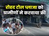 Haryana News: दिल्ली-रोहतक नेशनल हाईवे पर रोहद टोल प्लाजा को ग्रामीणों ने करवाया फ्री