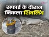 Delhi News: सावन में न्यू कोंडली में शिवलिंग मिलने के बाद पूजा-अर्चना शुरू, मंदिर निर्माण की उठी मांग