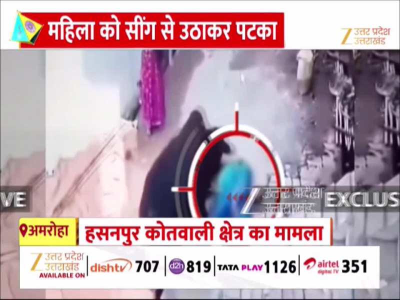 सींगों पर उठाकर हवा में उछाला, पैरों से कुचलने की कोशिश, महिला पर 'सनकी' सांड के हमले का वीडियो वायरल