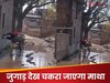 WATCH: नया इंडिया... पानी में डूबी सड़क को पार करने के लिए शख्स ने लगाया 'ऐसा जुगाड़', देख कर लोग रह गए दंग!