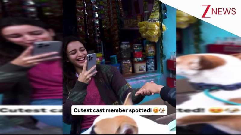 'धड़क 2' की शूटिंग के दौरान कुत्ते के साथ मस्ती करते दिखे Tripti Dimri और Siddhant Chaturvedi, इंस्टाग्राम पर वायरल 'धड़क 2' की शूटिंग के दौरान कुत्ते के साथ मस्ती करते दिखे Tripti Dimri और Siddhant Chaturvedi, इंस्टाग्राम पर वायरल