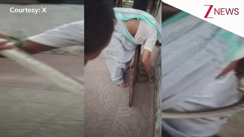 अरे बाप रे, 70 साल की दादी ने बिना सेफ्टी के पकड़ा 8 फीट लंबा सांप, हिम्मत और जज्बा देख चौंक गई जनता; VIRAL अरे बाप रे, 70 साल की दादी ने बिना सेफ्टी के पकड़ा 8 फीट लंबा सांप, हिम्मत और जज्बा देख चौंक गई जनता; VIRAL