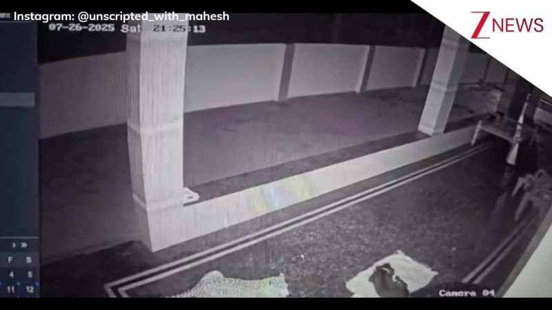 रात के सन्नाटे में सो रहे कुत्ते पर तेंदुए ने चुपके से किया हमला, CCTV कैमरे में कैद हुआ घटना का खौफनाक मंजर! रात के सन्नाटे में सो रहे कुत्ते पर तेंदुए ने चुपके से किया हमला, CCTV कैमरे में कैद हुआ घटना का खौफनाक मंजर!