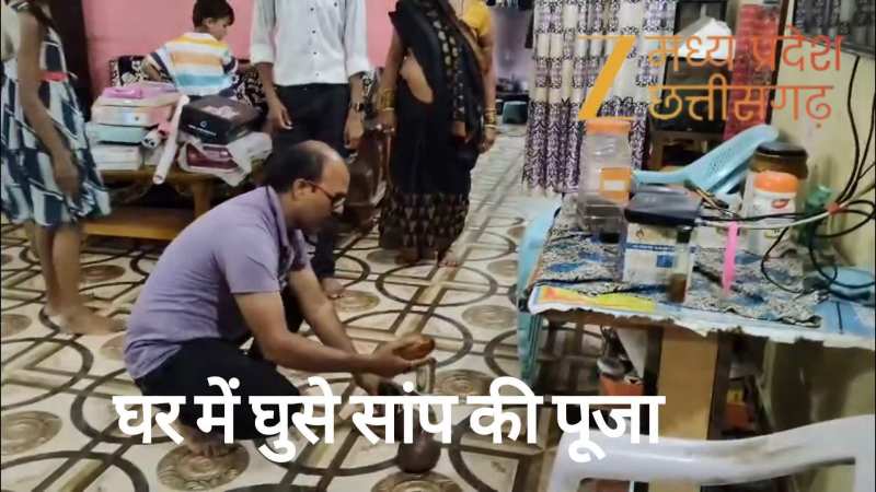 Korba: नाग पंचमी पर घर में घुसा सांप, लोग बिना डरे करने लगे पूजा, देखें वीडियो