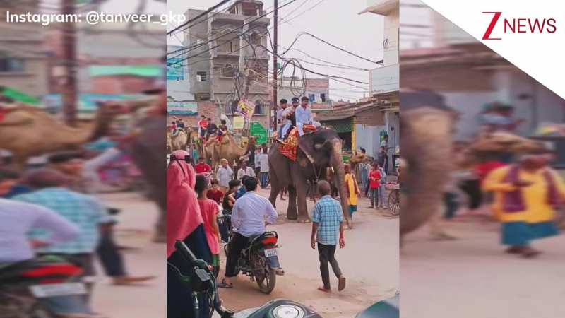 हाथी के ऊपर बैठे लड़कों को कुछ पकड़ा रहा था शख्स, तभी गजराज जी ने कर दिया खेला, वीडियो देख छूट जाएगी हंसी! हाथी के ऊपर बैठे लड़कों को कुछ पकड़ा रहा था शख्स, तभी गजराज जी ने कर दिया खेला, वीडियो देख छूट जाएगी हंसी!