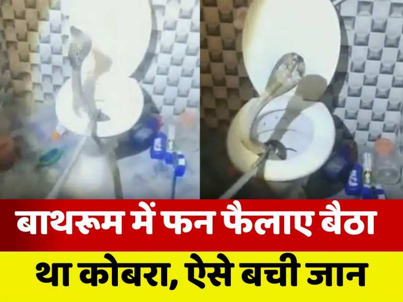 VIDEO: बाथरूम में मिला कोबरा, 15 मिनट तक अटकी रहीं सांसें, देखिए खौफनाक मंजर