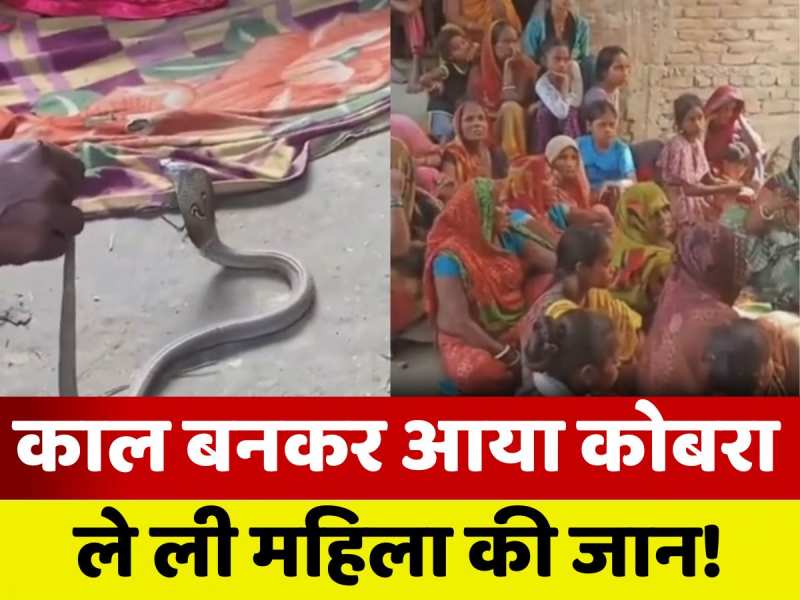 Madhubani Snake Bite: फर्श पर सो रही महिला को कोबरा ने डंसा, इलाज के दौरान मौत, सपेरे ने सांप को पकड़ा जिंदा