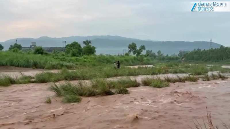 नालागढ़ की चिकनी नदी में फंसे दो लोग, गौ रक्षा दल और बजरंग दल ने किया रेस्क्यू; देखें वीडियो 
